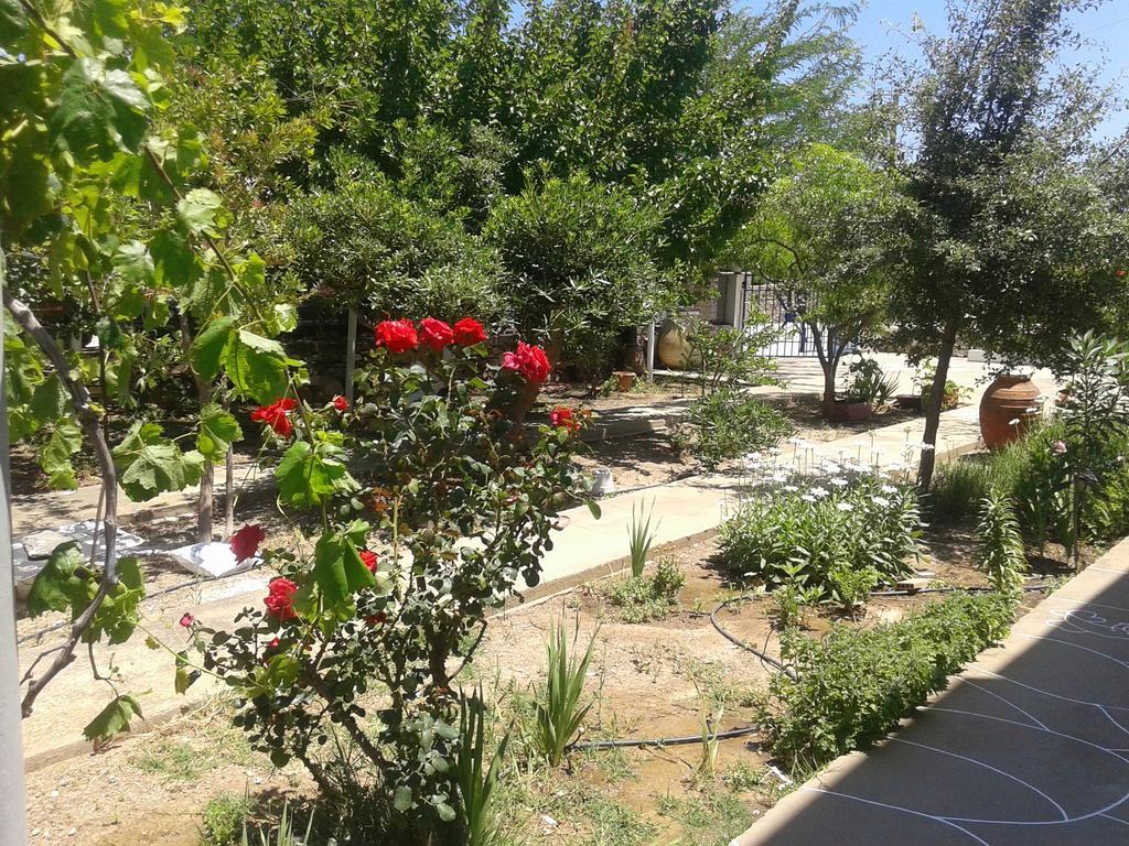 Aegean Harmony Apartman Platis Gialos  Kültér fotó