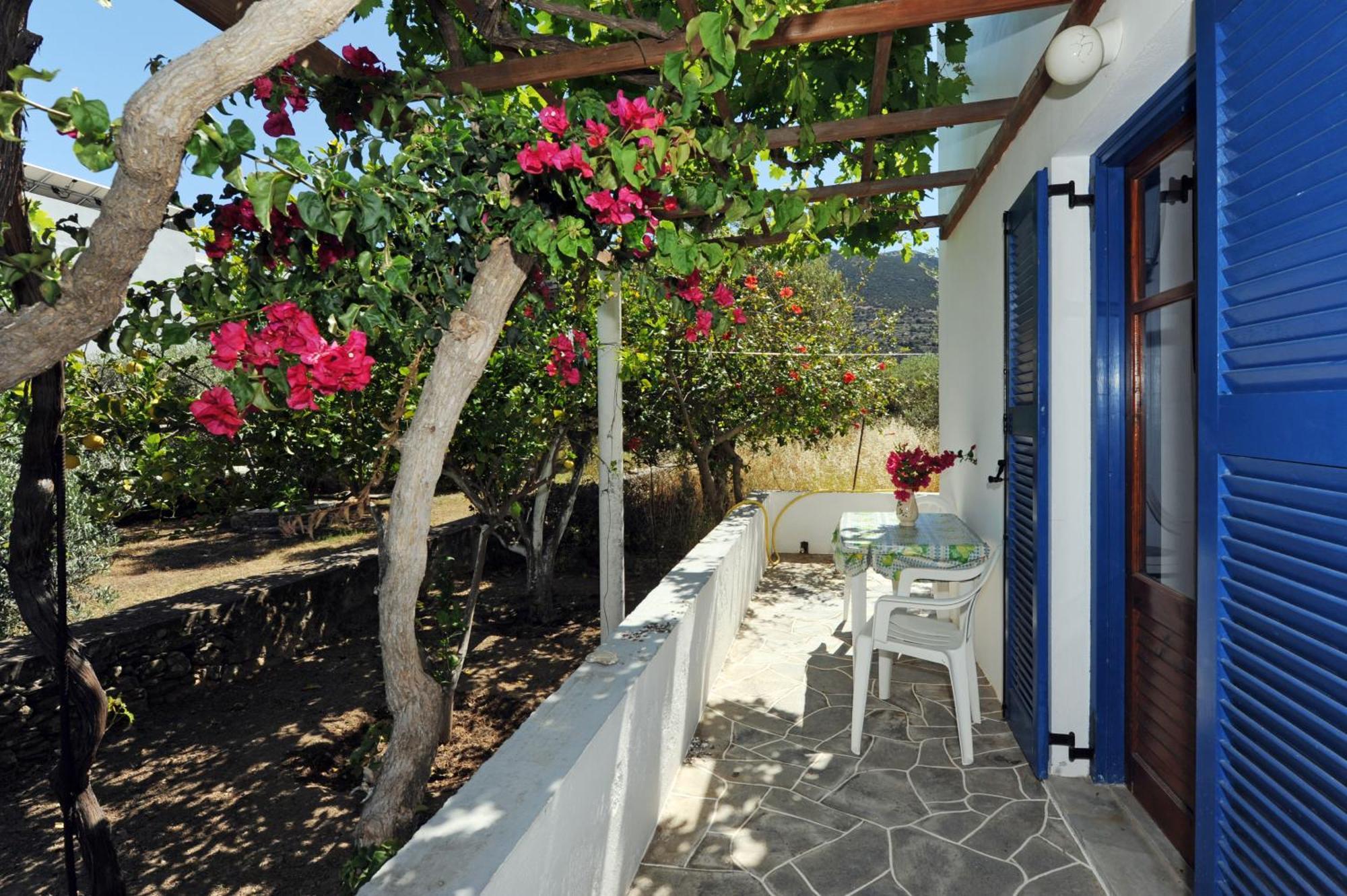 Aegean Harmony Apartman Platis Gialos  Kültér fotó
